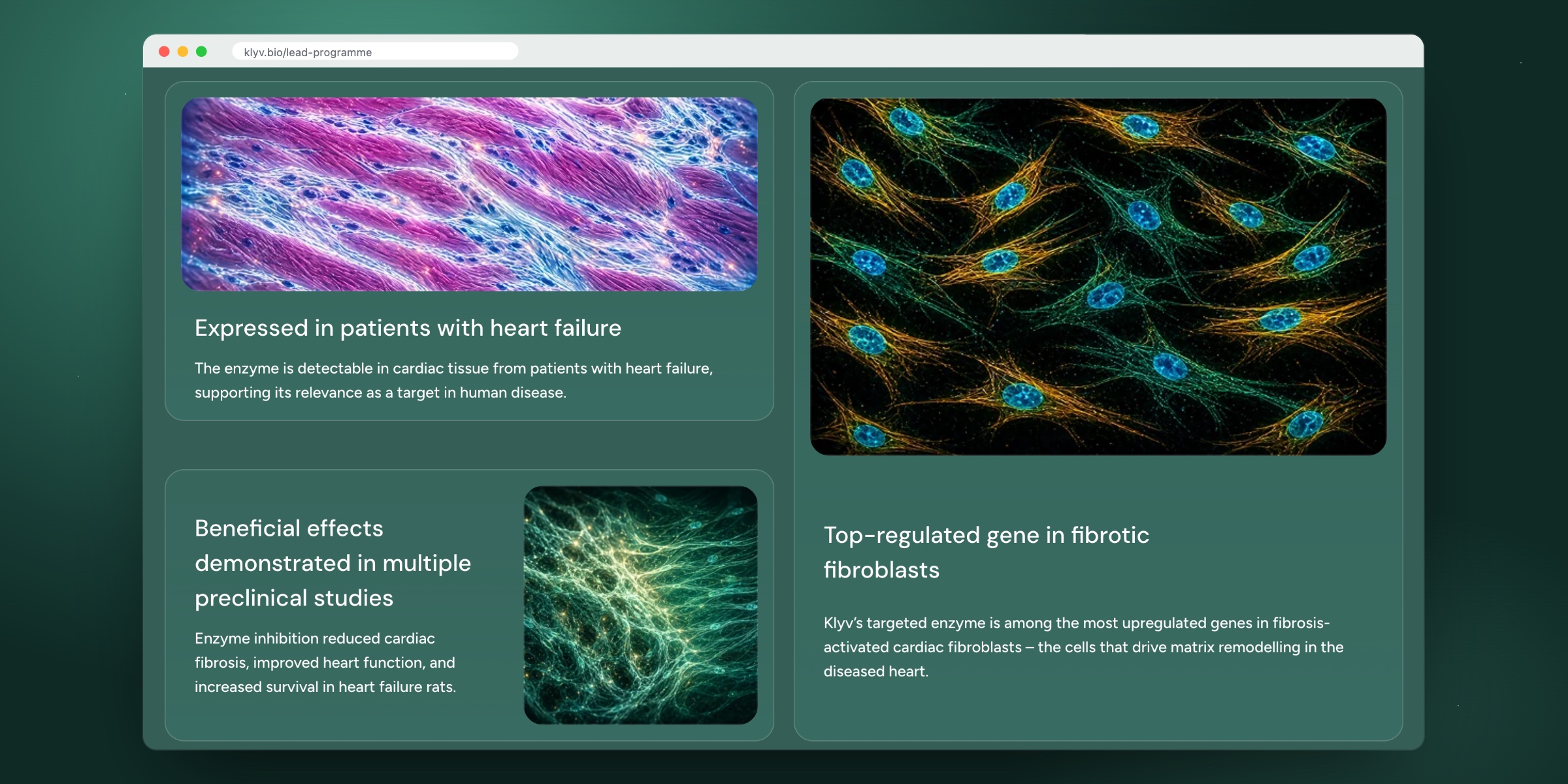 Tres tarjetas de evidencia en la página Lead programme de KLYV, con imágenes científicas de tejido cardíaco y fibroblastos.